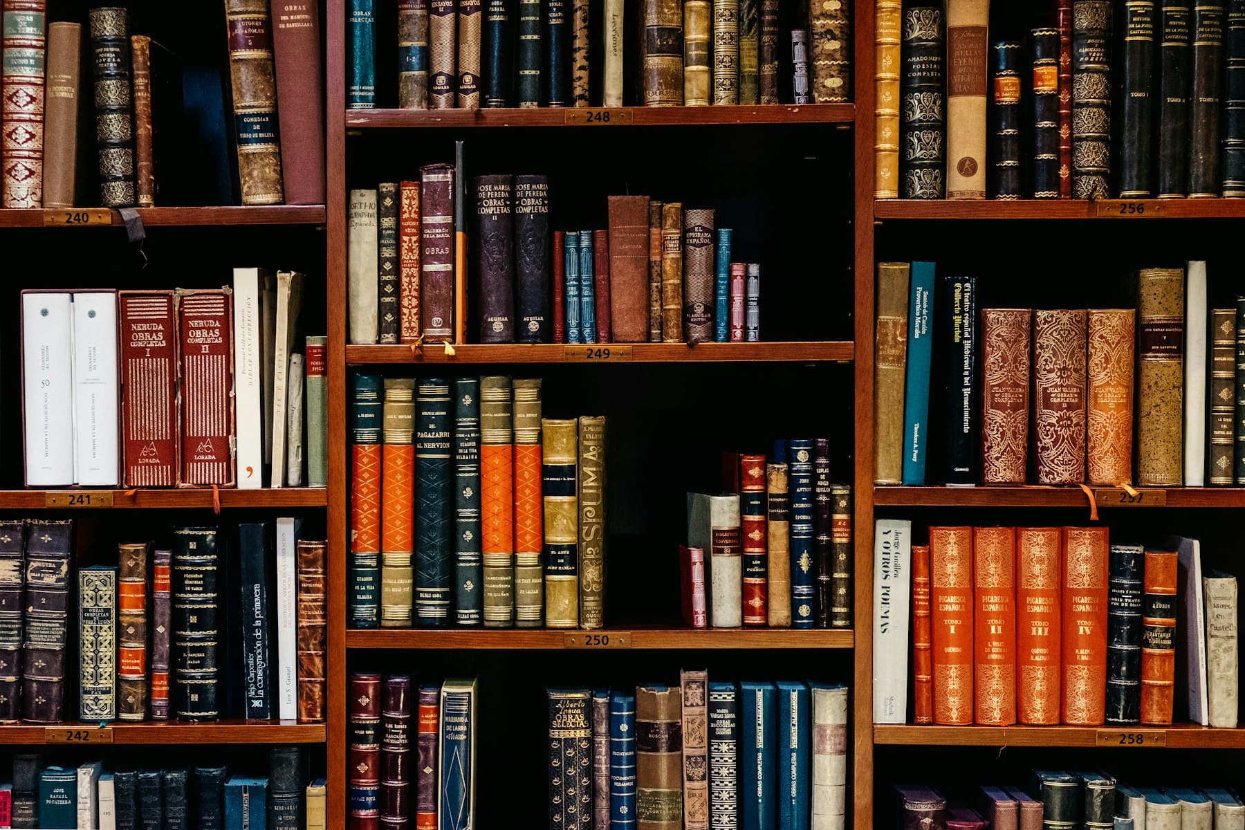 Law office bookshelf interior